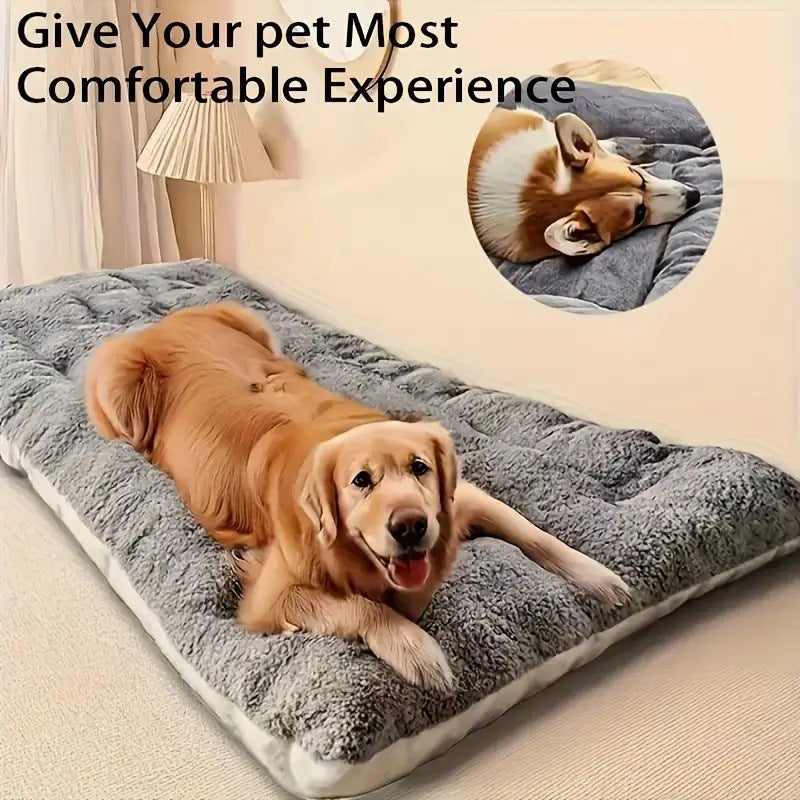 Dog bed and dog blanket with winter insulation