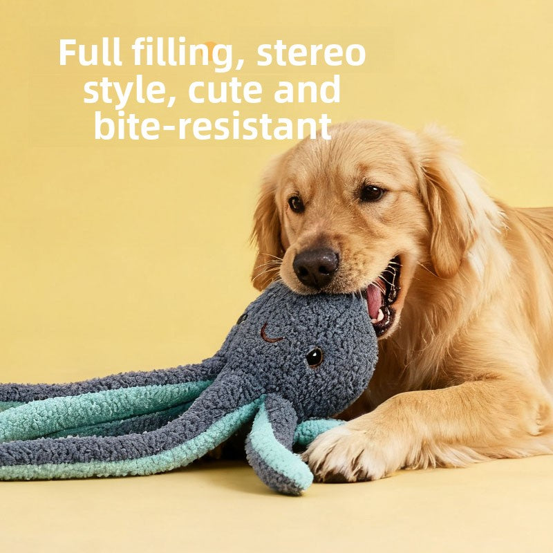 Pet Toys